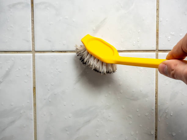 Best Black Mold Remediation in Fanwood, NJ