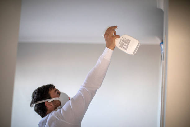 Best Preventive Mold Services in Fanwood, NJ