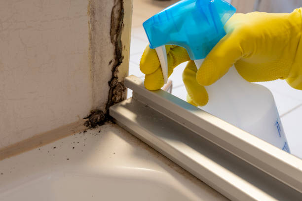 Best Industrial Mold Remediation in Fanwood, NJ