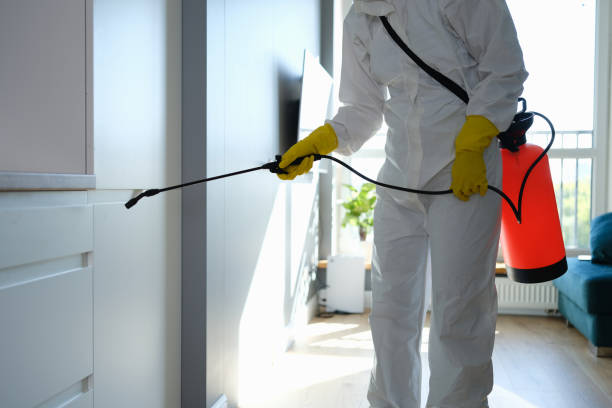 Best Attic Mold Remediation in Fanwood, NJ