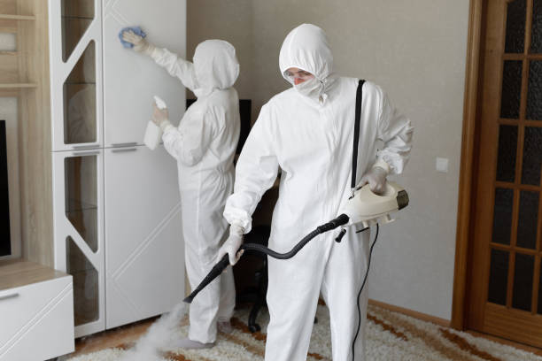 Best Emergency Mold Remediation in Fanwood, NJ