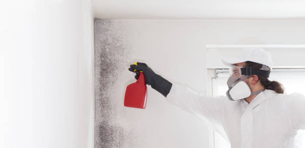 Fanwood, NJ Mold Remediation Company